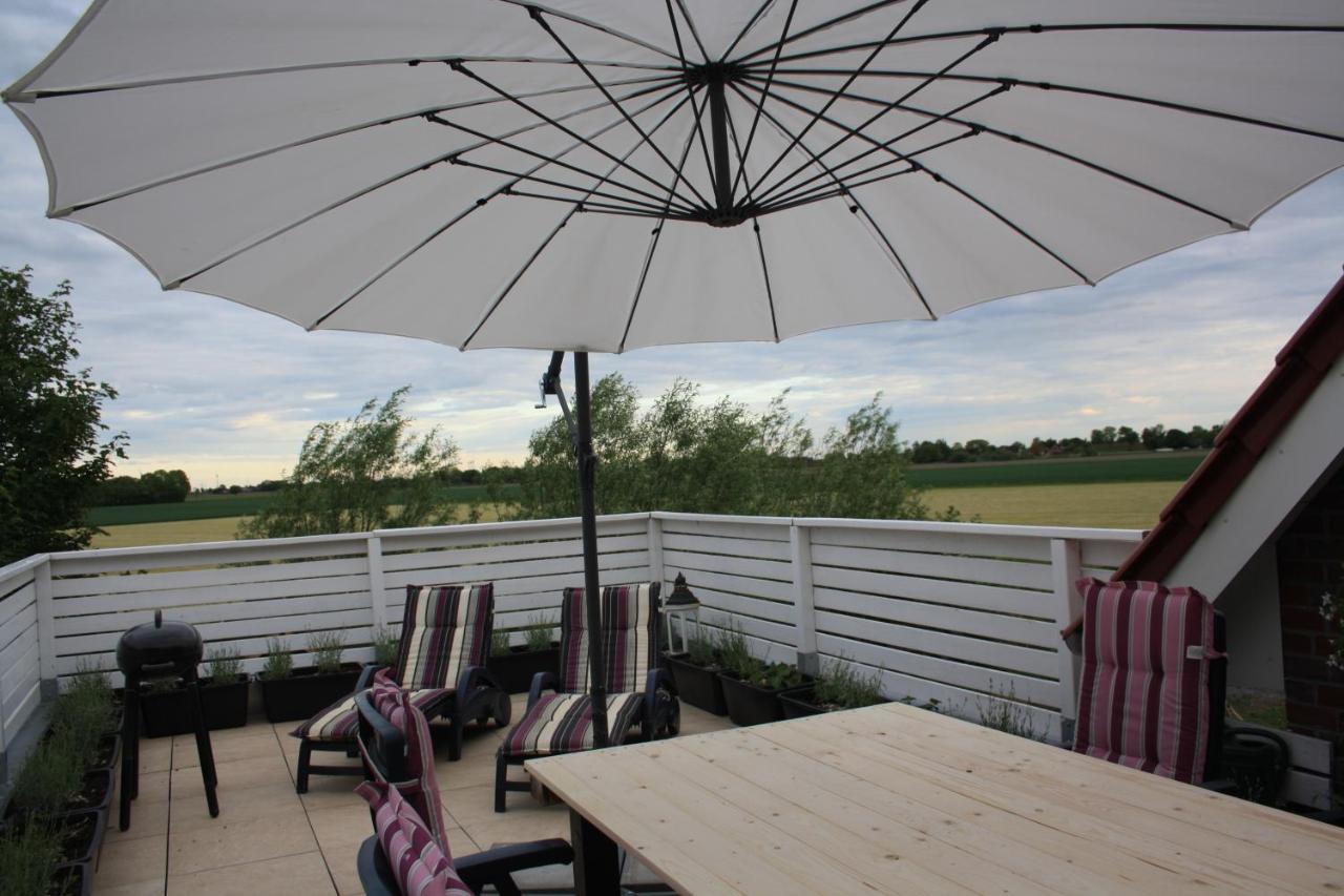 Strandrose Friedrichskoog Luaran gambar