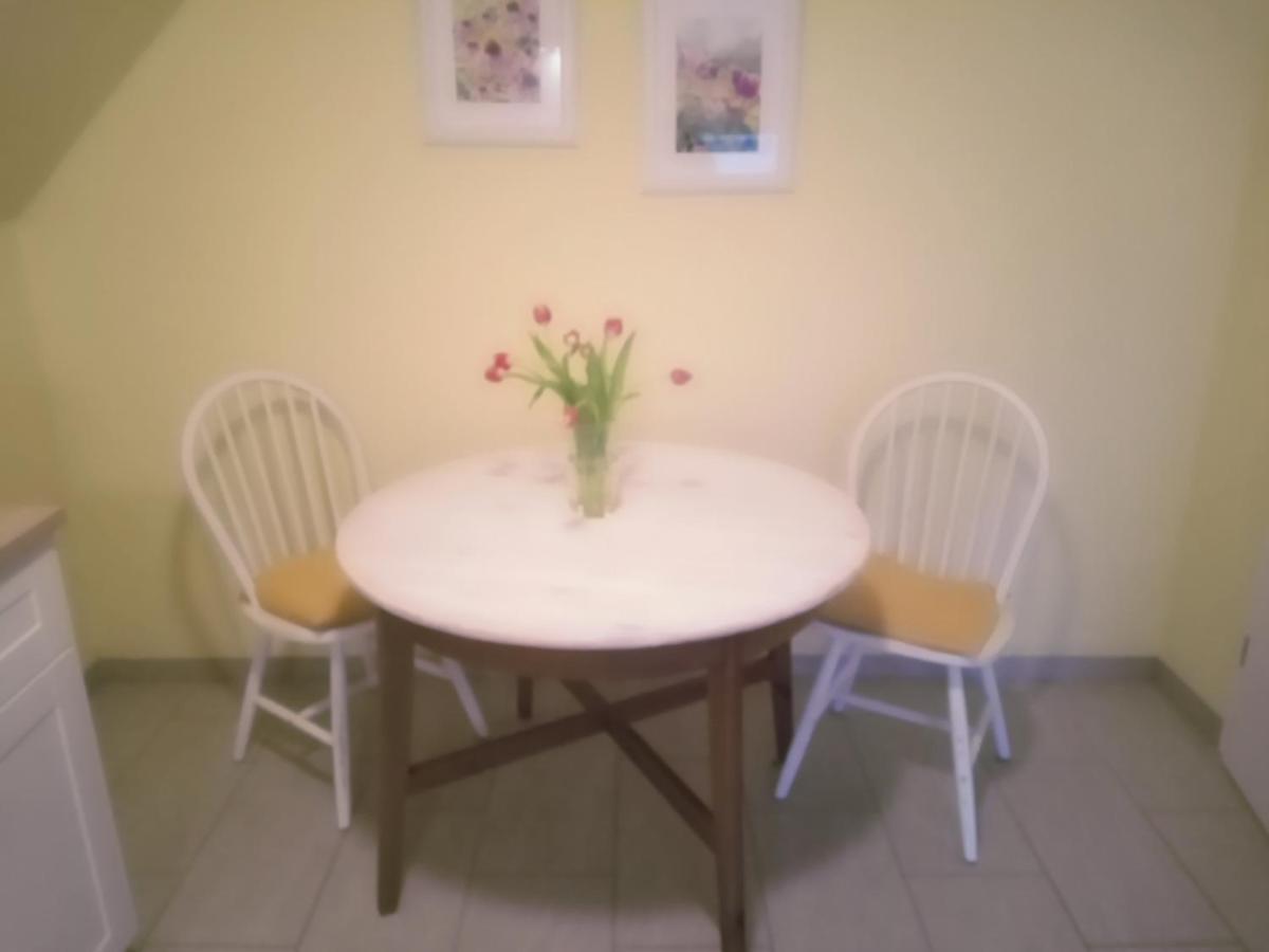 Strandrose Friedrichskoog Luaran gambar