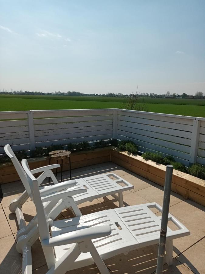 Strandrose Friedrichskoog Luaran gambar